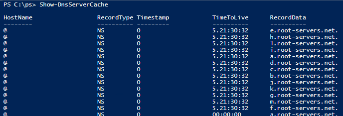 show-dnsservercache
